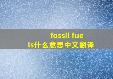 fossil fuels什么意思中文翻译